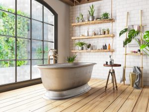 Plants for the Bathroom